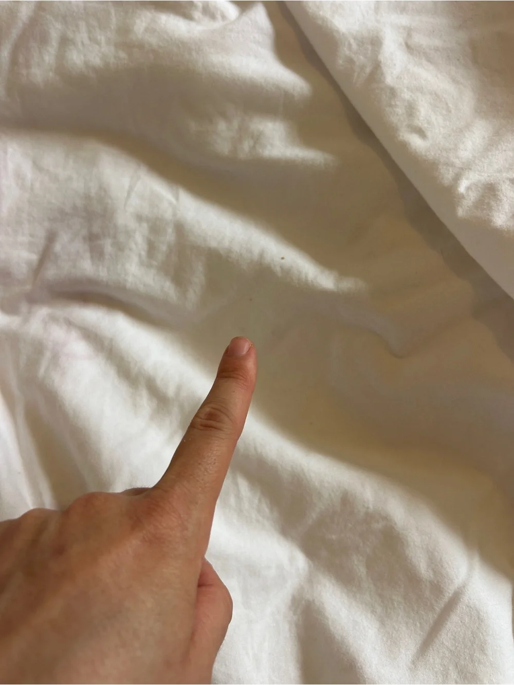 Urban Outfitters Queen Size White Duvet Cover with Red Strawberry Embroidery
